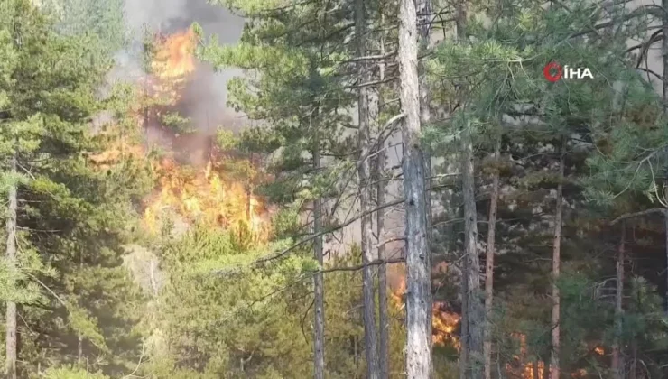 Karabük’teki orman yangını rüzgarın etkisiyle yayılıyor